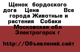 Щенок  бордоского  дога. › Цена ­ 60 000 - Все города Животные и растения » Собаки   . Московская обл.,Электрогорск г.